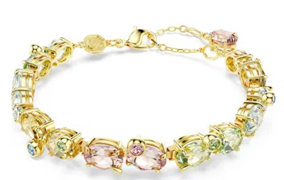 Swarovski Gema Tennis Armband In Multicolor