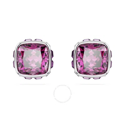 Swarovski Birthstone Pierced Earrings Studs Feb Rhodium Shiny Purple In Metallic