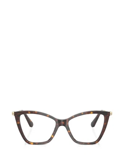 Swarovski Cat-eye Glasses In Brown