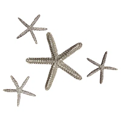 Pre-owned Swarovski Collection Of 4 Bejeweled  Crystal Starfish By Douglas Cloutier In Gray