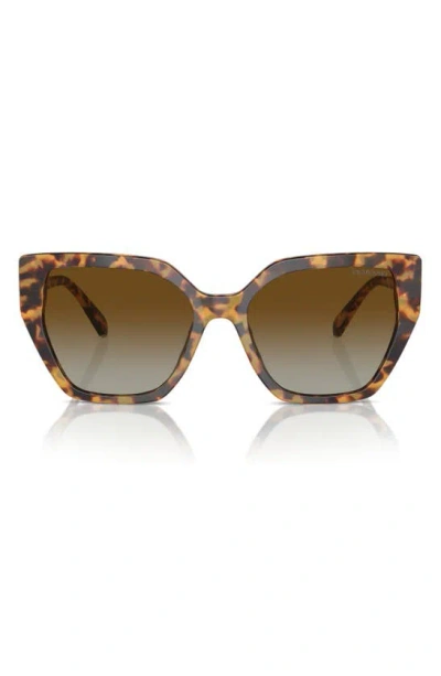 Swarovski Constella Gradient 57mm Pillow Sunglasses In Havana Transparent