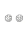 Swarovski Constella Pave Stud Earrings In Silver