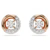 Swarovski Dextera Stud Earrings In White