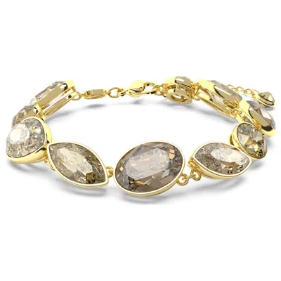 Swarovski Elegance Of Africa Women's Bracelet In Gold