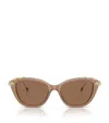 Swarovski Embellished Sk6010 Sunglasses In Brown