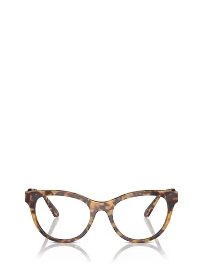 Swarovski Eyeglasses In Brown