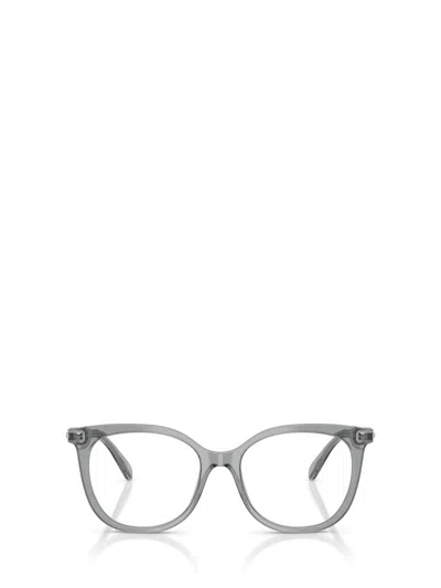 Swarovski Eyeglasses In Gray