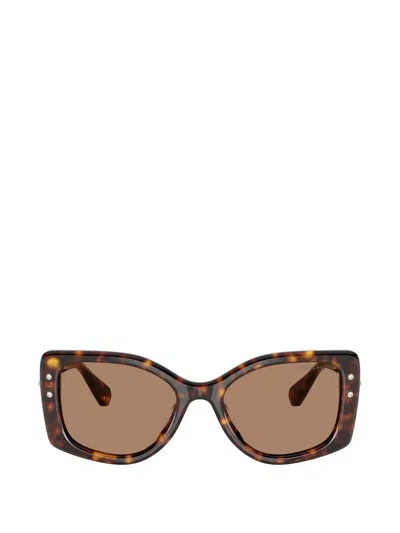 Swarovski Eyewear Crystal-embellished Sunglasses In Brown