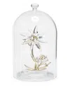 Swarovski Florere 130th Anniversary Bell Jar In Transparent