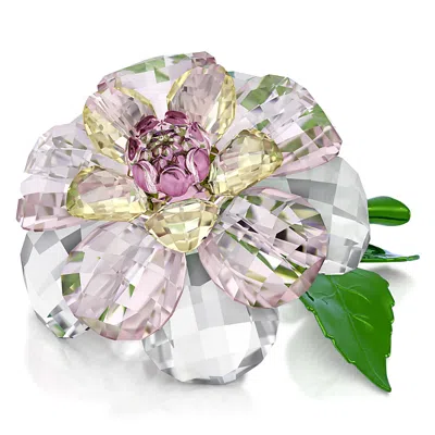 Swarovski Florere Collection Camellia Crystal Figurine In Transparent
