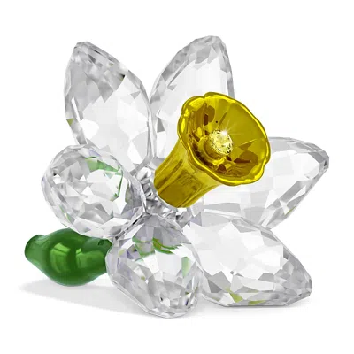 Swarovski Florere Collection Daffodil Crystal Figurine In Transparent