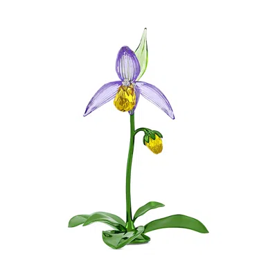 Swarovski Florere Collection Lady Slipper Orchid Crystal Figurine In Multi