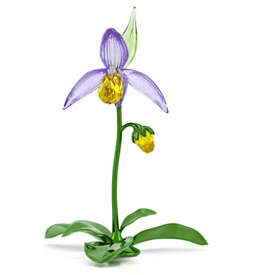 Swarovski Florere Lady Slipper Orchid Home Decor In Green