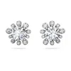 Swarovski Galaxy Stud Earrings In White