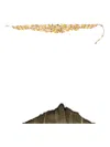 Swarovski Gema Choker Necklace In Gold