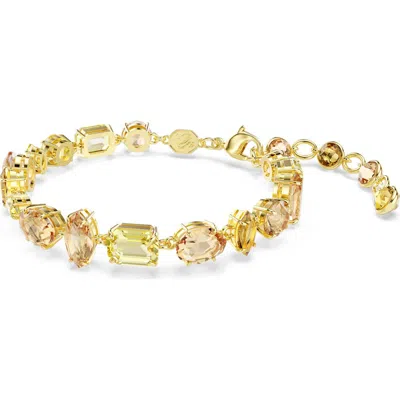 Swarovski Gema Mixed Cut Crystal Bracelet In Gold