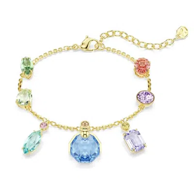 Swarovski Gema Multicolored Crystal Bracelet In Gold