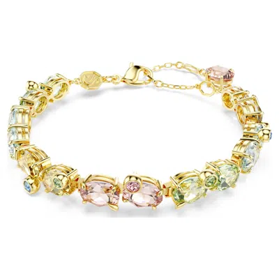 Swarovski Gema Tennis Armband In Multicolored