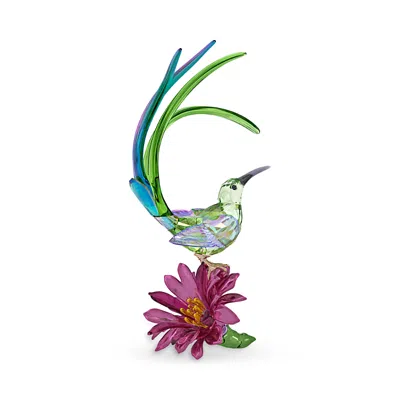 Swarovski Idyllia Collection Sugarbird And Cactus Crystal Figurine In Multi
