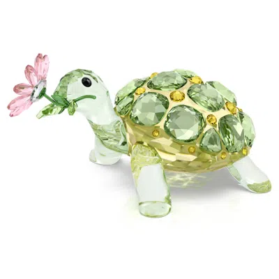 Swarovski Idyllia Schildkröte Und Margerite In Multi