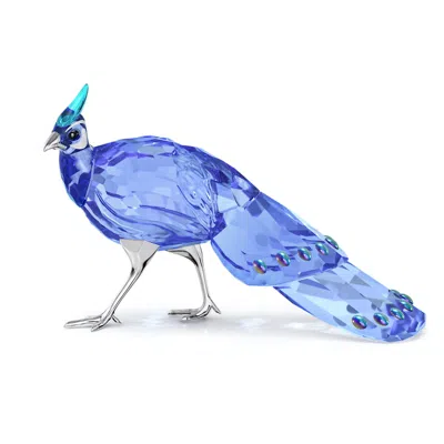 Swarovski Idyllia Scs Palawan-pfaufasan In Blue