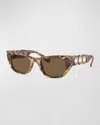 Swarovski Imber Tortoise Acetate & Plastic Cat-eye Sunglasses In Brown