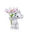Swarovski Ourson Kris Une Marguerite Pour Toi