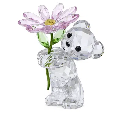 Swarovski Kris Bear Collection A Daisy For You Crystal Figurine In Multi