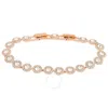 Swarovski Ladies Angelic Gold-tone Plated Round Cut Pave Bracelet In Gold Tone