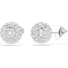 Swarovski Lucent Stud Earrings In Multi