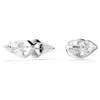 Swarovski Lucent Stud Earrings In White