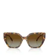 Swarovski Metal Sk6016 Sunglasses In Brown
