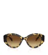 Swarovski Sk6005 Oval-frame Tortoiseshell Acetate Sunglasses In Brown