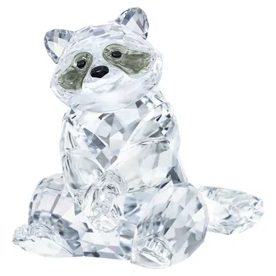 Swarovski Peaceful Countryside Waschbär In Weiss