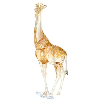 Swarovski Scs Jahresausgabe 2018 Giraffe Mudiwa In Orange