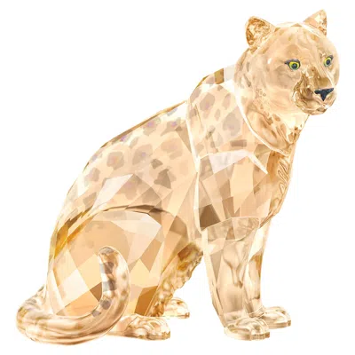 Swarovski Scs Jahresausgabe 2019 Amur Leopard Sofia In Multi