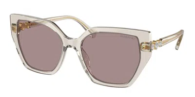 Swarovski Sk6016 3003la Women's Sunglasses Brown Size 56 In Gray