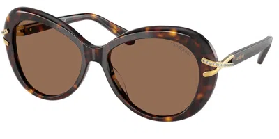 Swarovski Sk6026 100273 Women's Sunglasses Tortoiseshell Size 56 In Brown