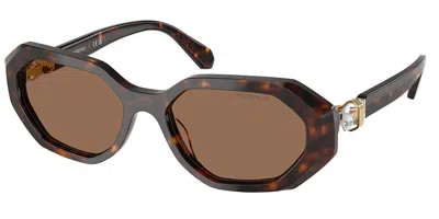 Swarovski Sk6028 100273 Women's Sunglasses Tortoiseshell Size 54 In Brown