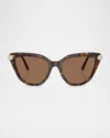 Swarovski Sk6038 Cat-eye Embellished Sunglasses In Havana