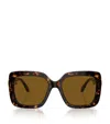 Swarovski Square Sk6001 Sunglasses In Brown