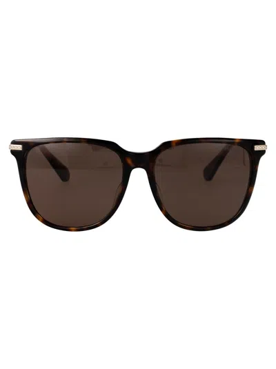 Swarovski Tortoiseshell Square-frame Sunglasses In 100273 Dark Havana
