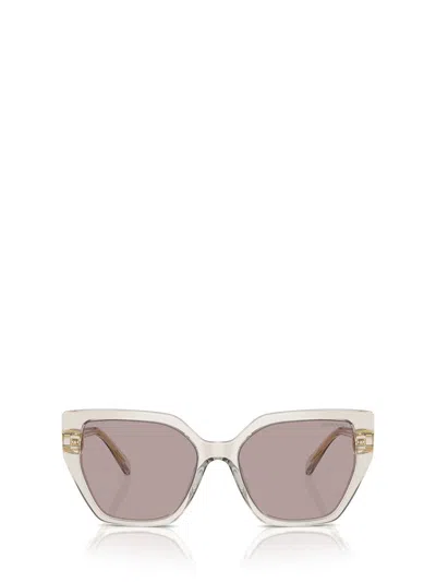 Swarovski Womens Brown Sk6016 Irregular-frame Acetate Sunglasses