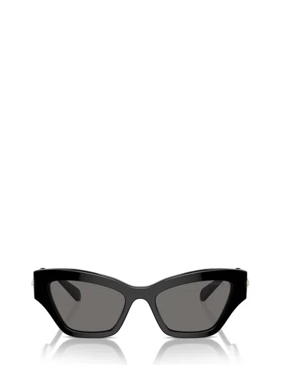 Swarovski Acetate Sk6021 Sunglasses In Black