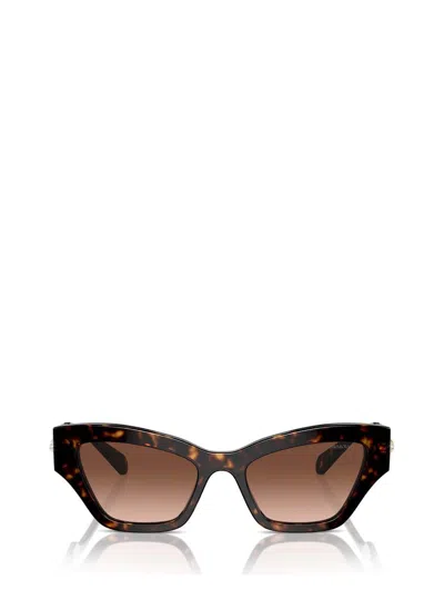 Swarovski Sunglasses In Brown