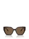 Swarovski Constella 56mm Polarized Irregular Sunglasses In Brown