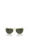 Swarovski Pavé Crystal-embellished Pilot-frame Sunglasses In Gold