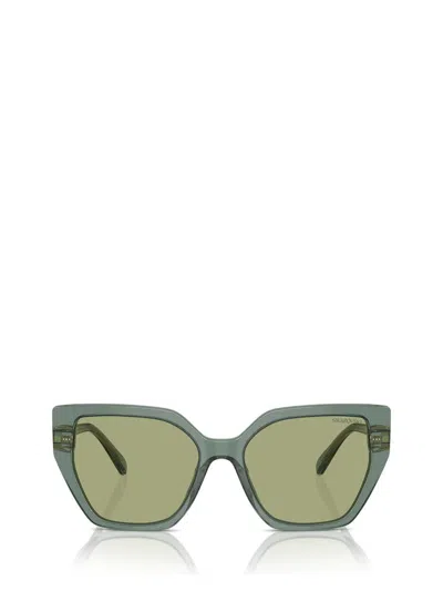 Swarovski Constella 56mm Polarized Irregular Sunglasses In Transparent Green