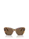 Swarovski 52mm Cat Eye Sunglasses In Havana Media