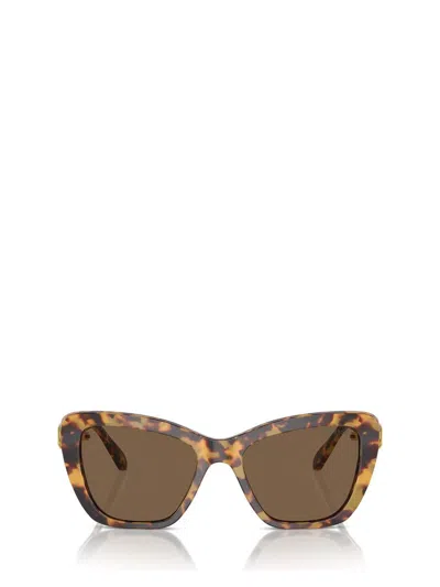 Swarovski 52mm Cat Eye Sunglasses In Havana Media